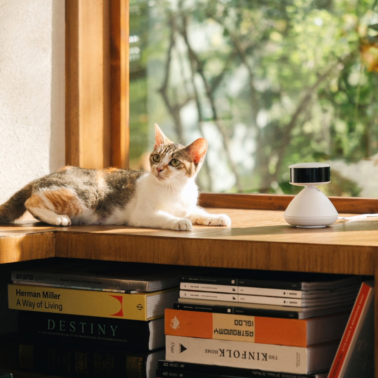 Une caméra intelligente pour animaux pleine de surprises