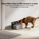 Ultrafiltre Glacier Pour Fontaine