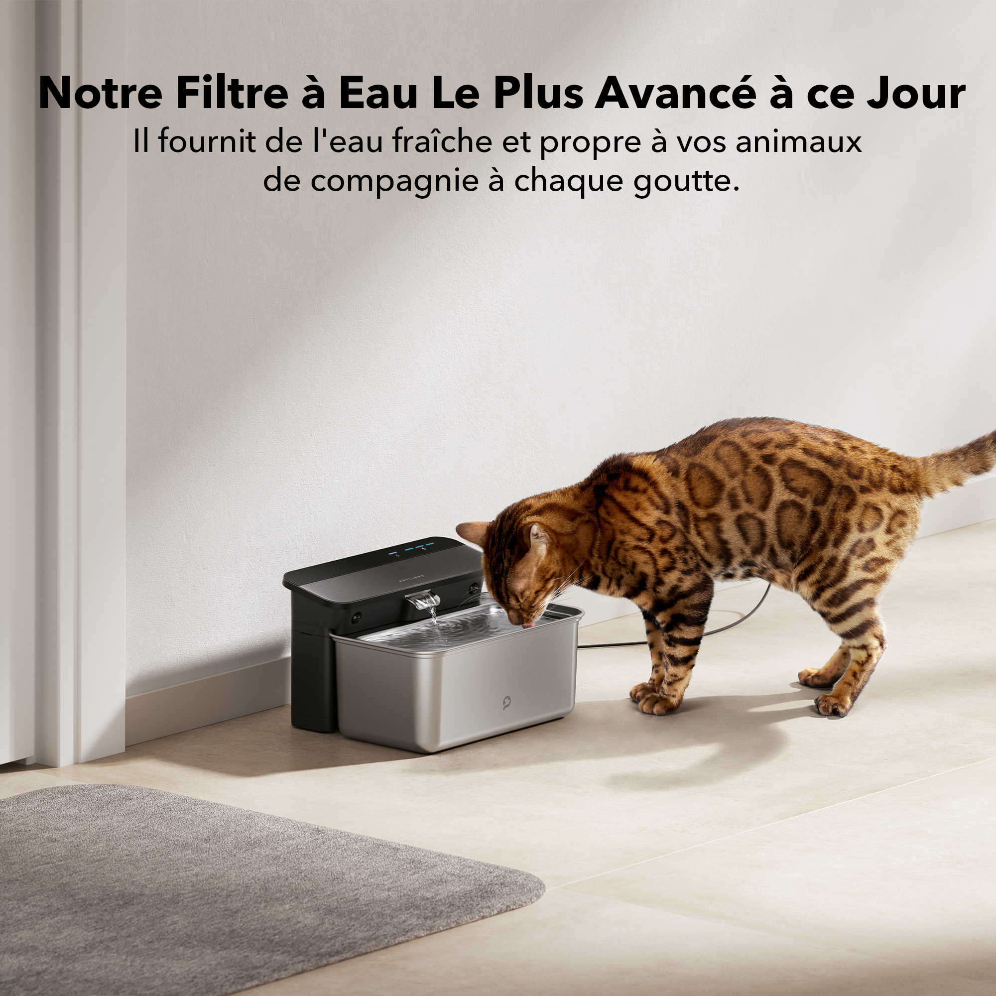 Ultrafiltre Glacier Pour Fontaine