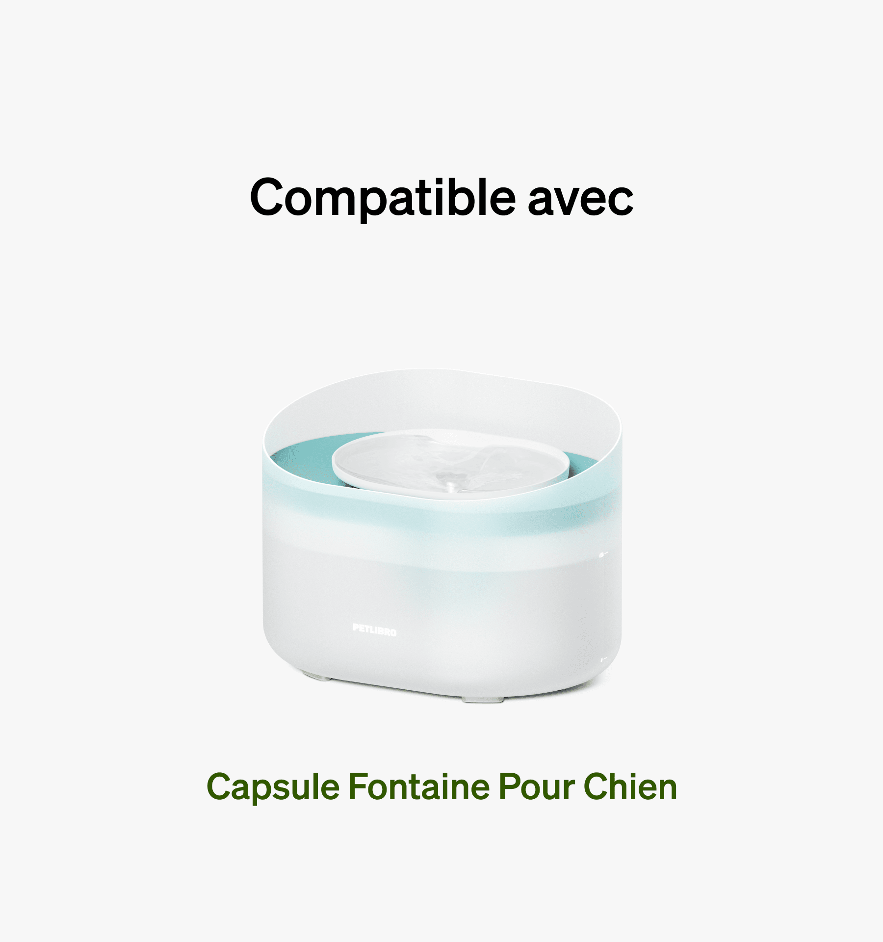 Filtre de rechange pour fontaine pour chien Capsule