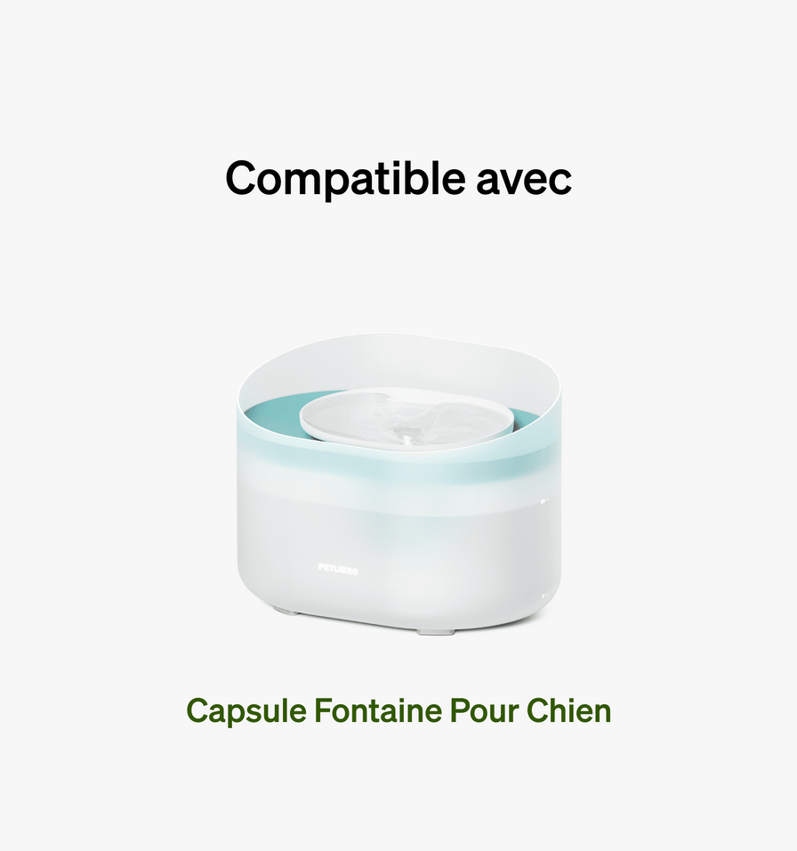 Filtre de rechange pour fontaine pour chien Capsule