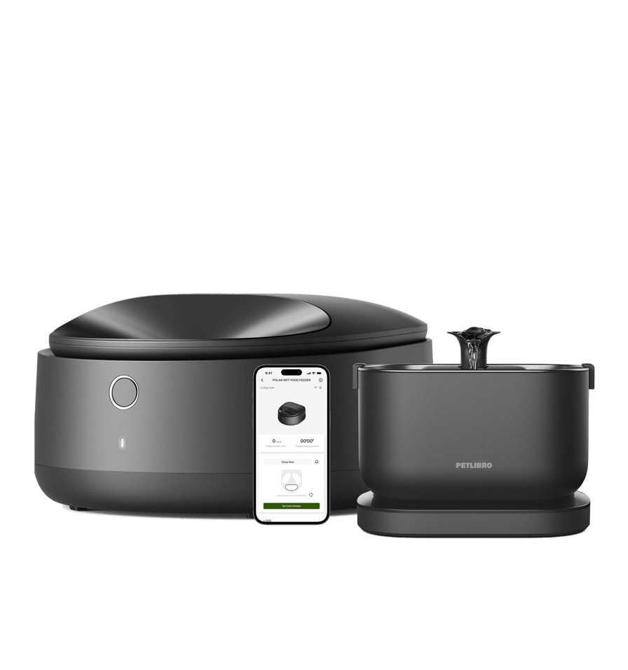 Ensemble Repas Avec Distributeur D'Aliments Humides et Fontaine Sans Fil