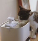 Dockstream Pompe De Remplacement Pour Fontaine