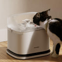 Filtre de rechange pour Fontaine RFID Dockstream