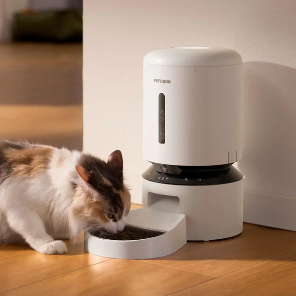 Voici 5 raisons pour lesquelles vous avez besoin d’un distributeur croquettes chat programmable !