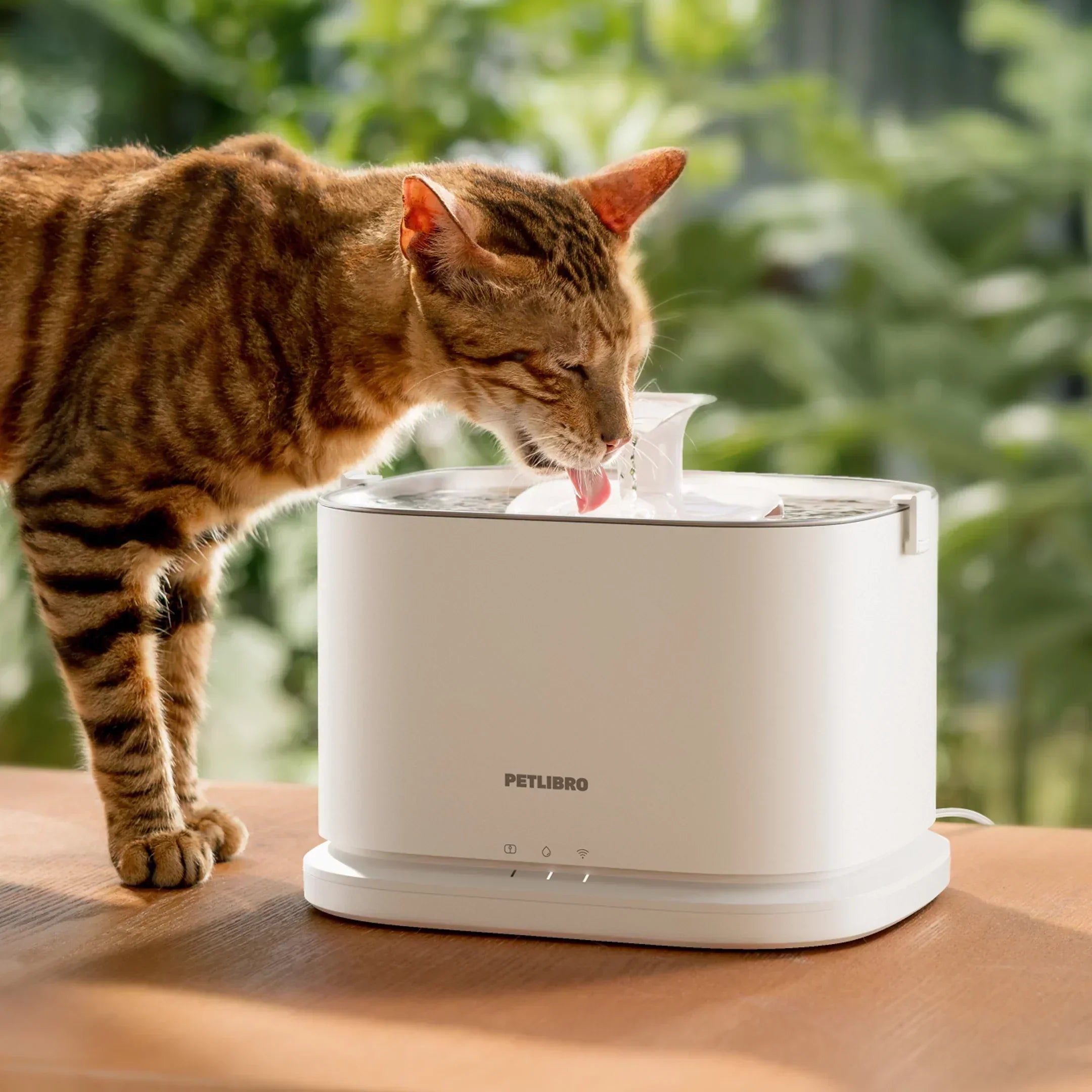 Comment habituer votre animal à une fontaine à eau : Conseils pour une transition en douceur !