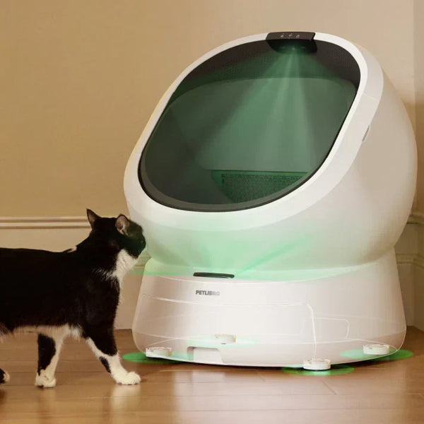 Comment la litière intelligente Luma place la sécurité de votre chat en priorité