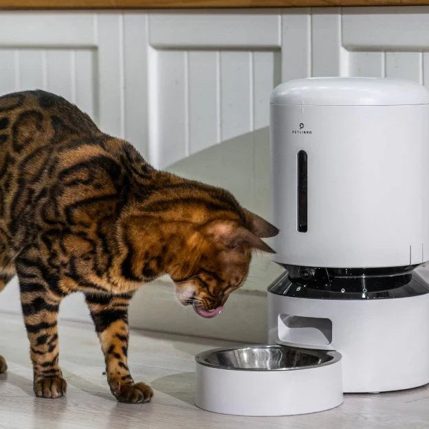 Distributeur de nourriture pour chats : Le guide ultime du contrôle des portions pour un animal en bonne santé