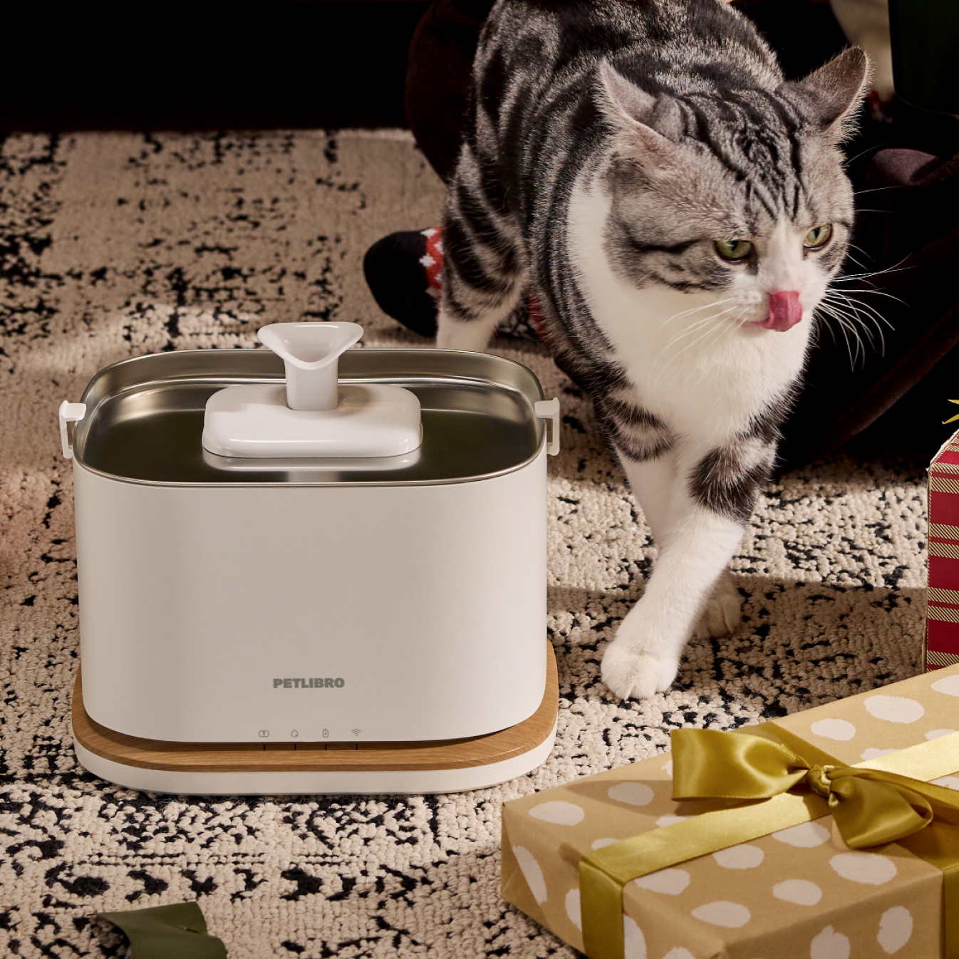 Conseils essentiels pour les soins d’hiver & santé : Hydratation des animaux