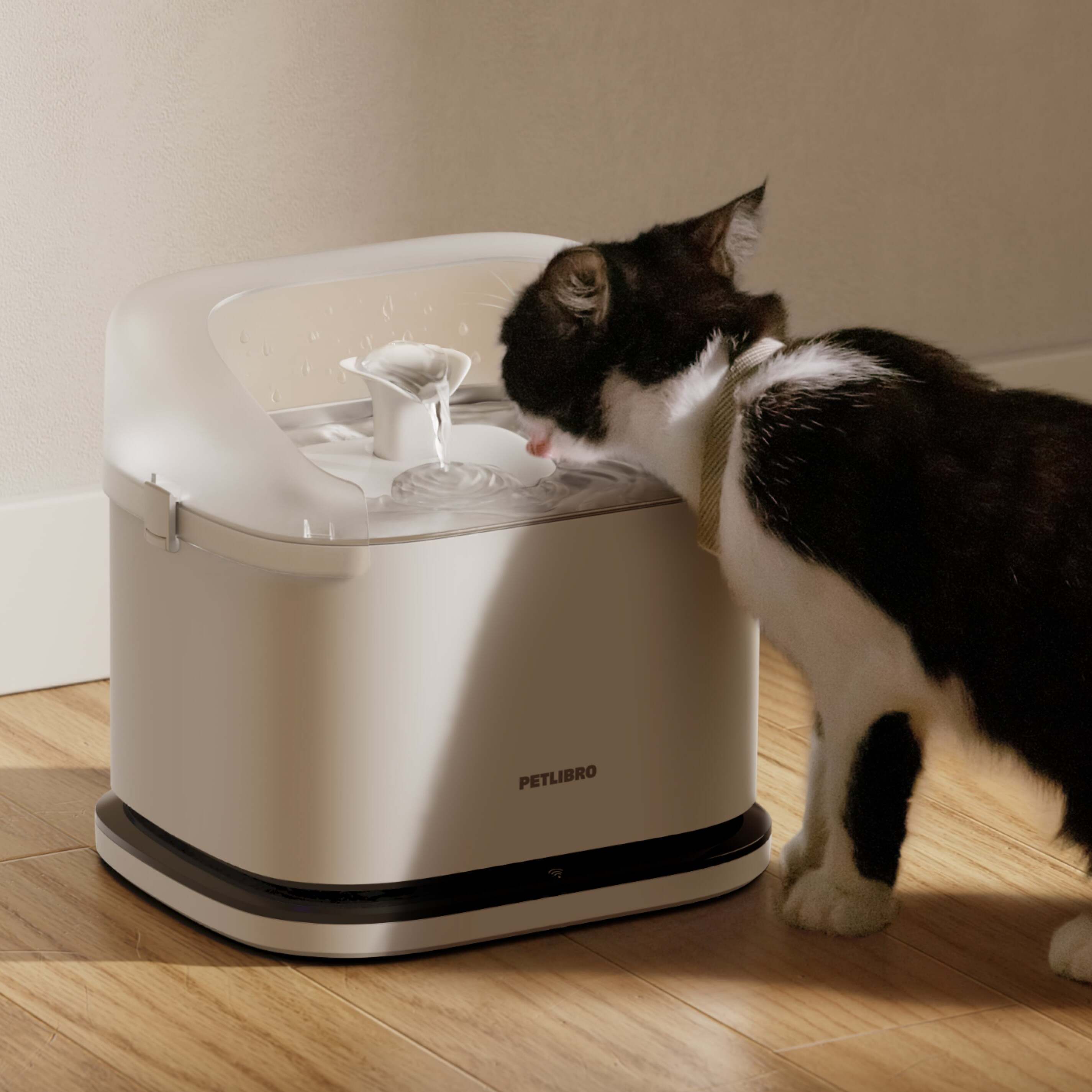 Les Filtres de Fontaines à Eau pour Chat Fonctionnent-ils Vraiment ? La Clé pour une Hydratation Hivernale Saine