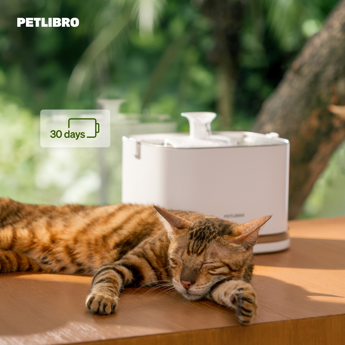 Savez-vous vraiment si votre chat boit assez d’eau ?