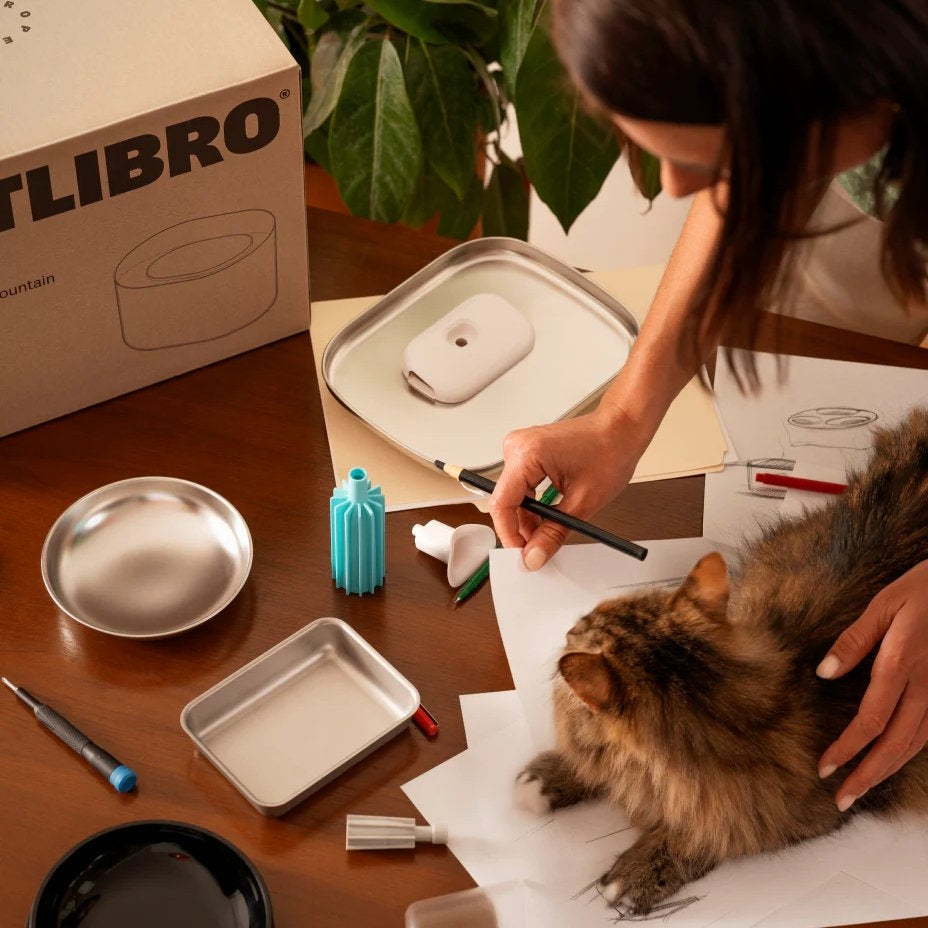 Engagés pour les soins de votre animal de compagnie : Améliorations du système et soutien renforcé