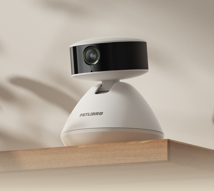 Video Cloud Al  with Scout