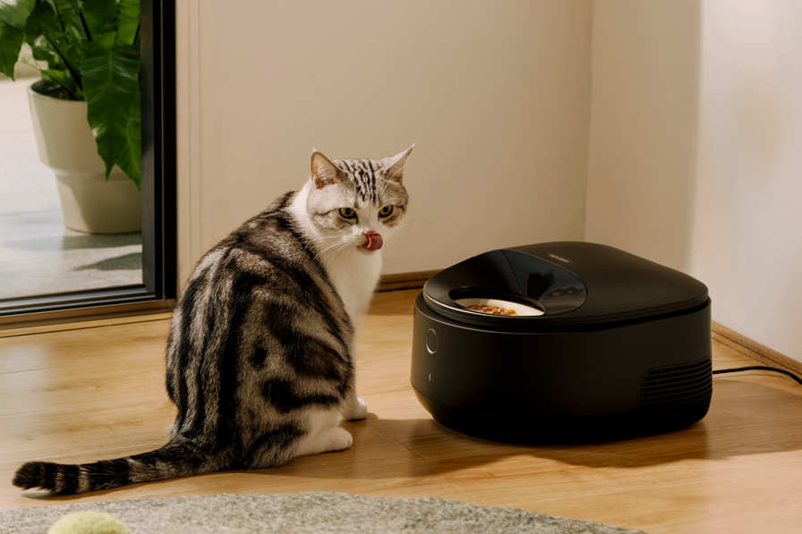 Distributeur intelligent de nourriture humide Polar