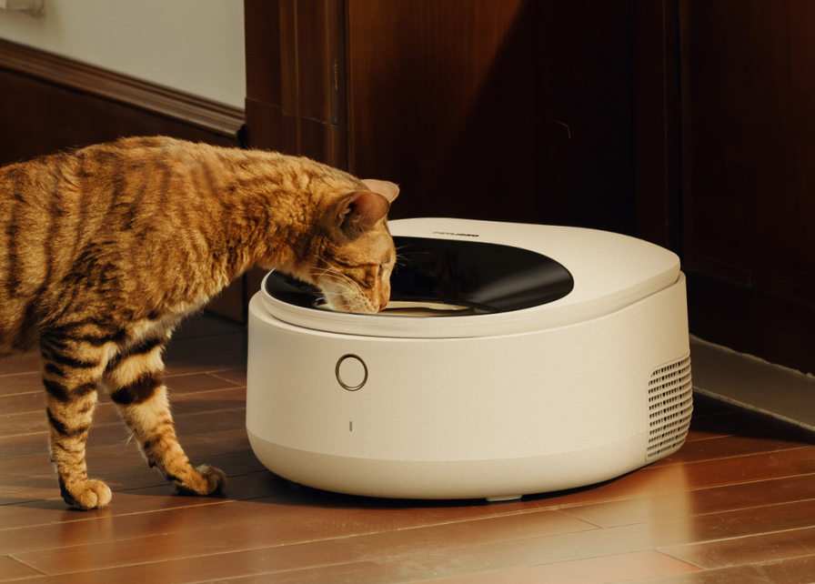 Distributeur intelligent de nourriture humide Polar