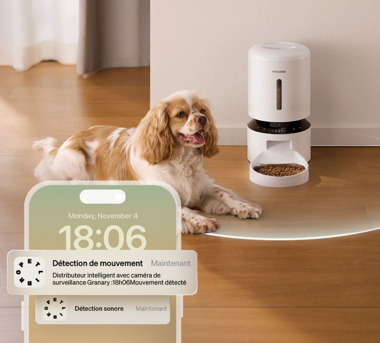 Petlibro distributeur automatique blanc avec caméra, croquettes visibles, chien couché à côté et alerte détection de mouvement sur écran