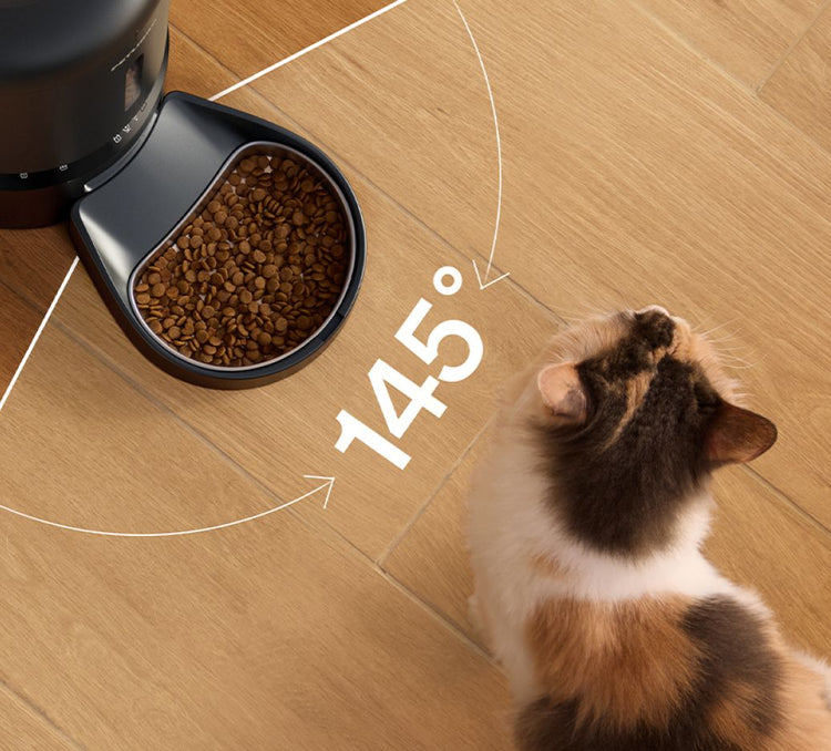 Petlibro distributeur automatique de croquettes noir avec bol rempli, chat à 145° sur parquet en bois clair