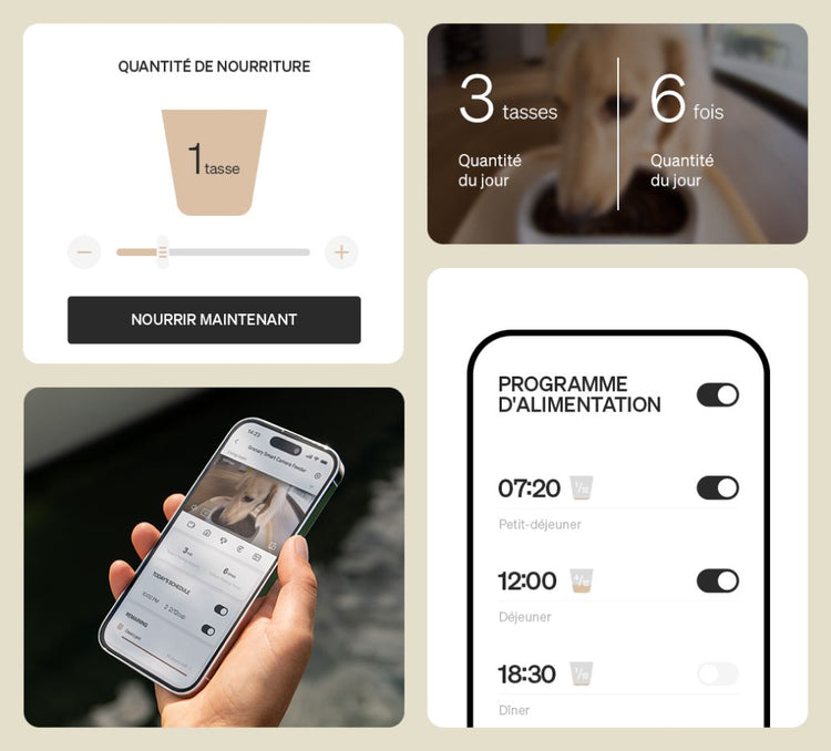 Petlibro application de distributeur automatique, réglage portions et horaires de repas, contrôle sur smartphone