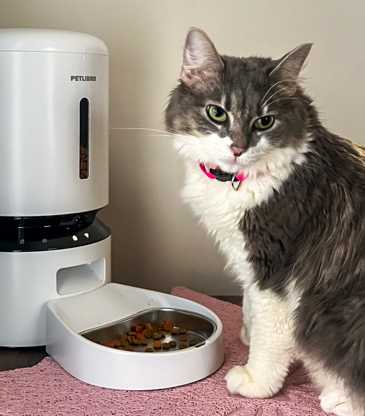 Petlibro PETLIBRO chat animal de compagnie près d’un distributeur automatique de nourriture blanc, fontaine à eau et bac à litière.