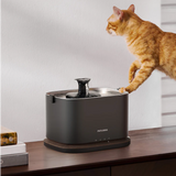 Petlibro PETLIBRO animal de compagnie chat buvant à une fontaine à eau noire; mention distributeur automatique de nourriture et bac à litière