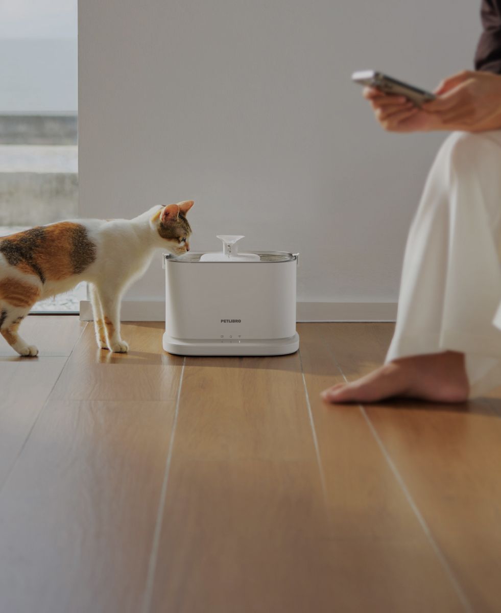 Petlibro PETLIBRO chat animal de compagnie buvant à une fontaine à eau blanche; mention distributeur automatique de nourriture et bac à litière