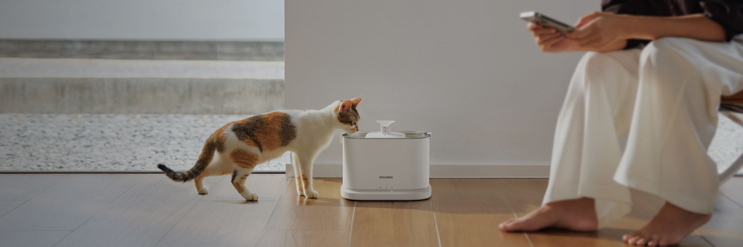 Petlibro PETLIBRO animal de compagnie: chat boit à une fontaine à eau blanche; distributeur automatique de nourriture et bac à litière suggérés