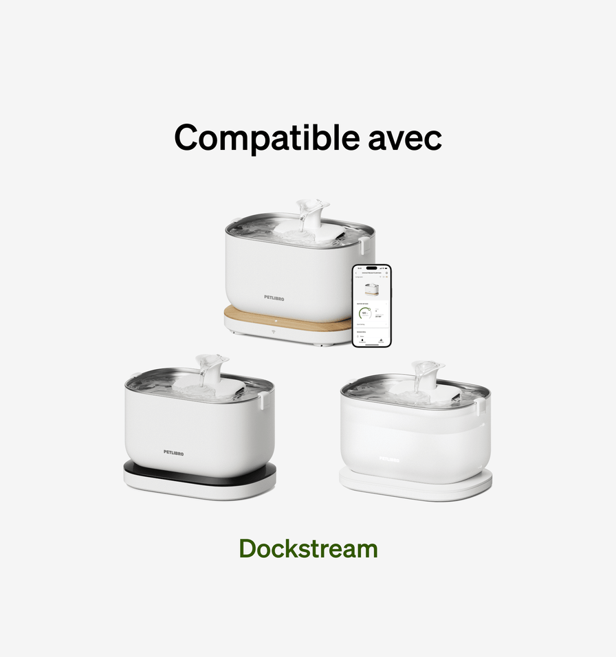 Dockstream Filtre Pour Fontaine