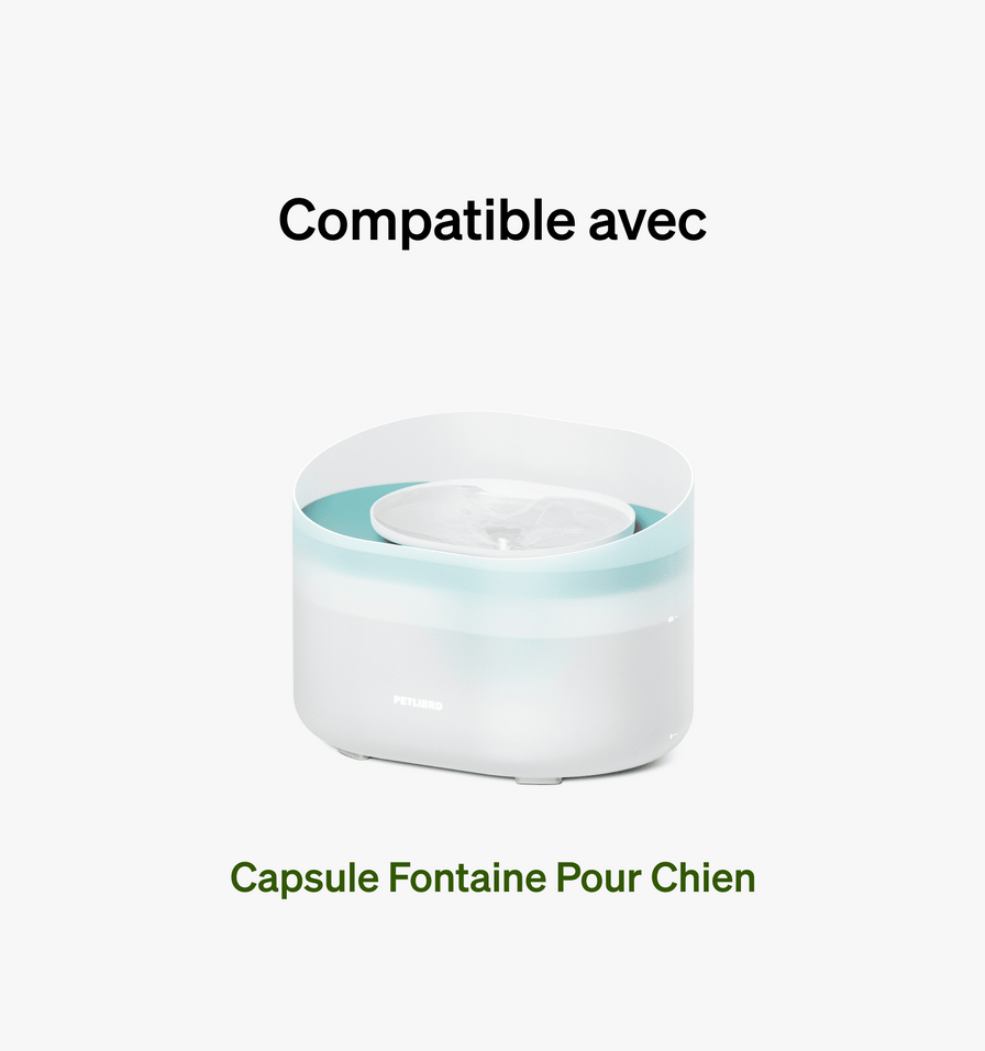 Capsule Filtre de Remplacement Pour Fontaine