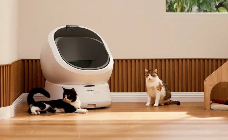 Petlibro PETLIBRO bac à litière blanc pour animal de compagnie, deux chat au sol; mention distributeur automatique de nourriture, fontaine à eau
