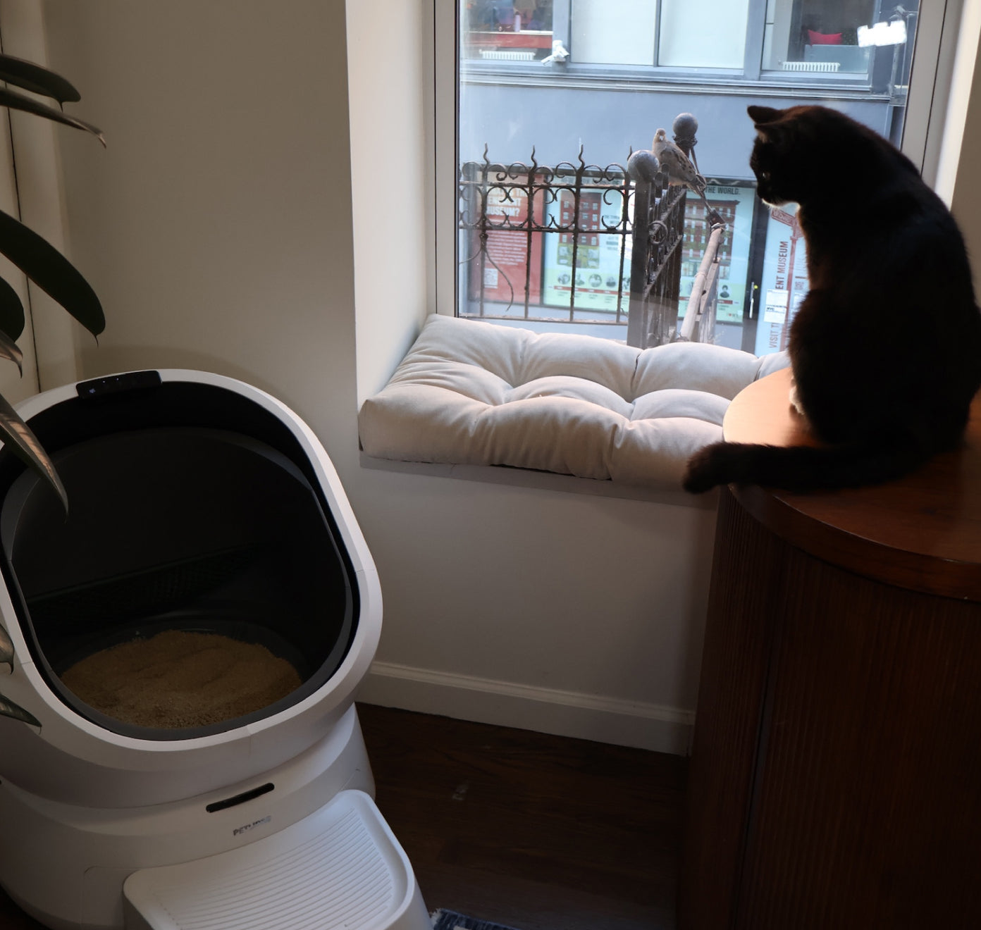 Petlibro PETLIBRO bac à litière pour animal de compagnie, chat près fenêtre; mention distributeur automatique de nourriture et fontaine à eau