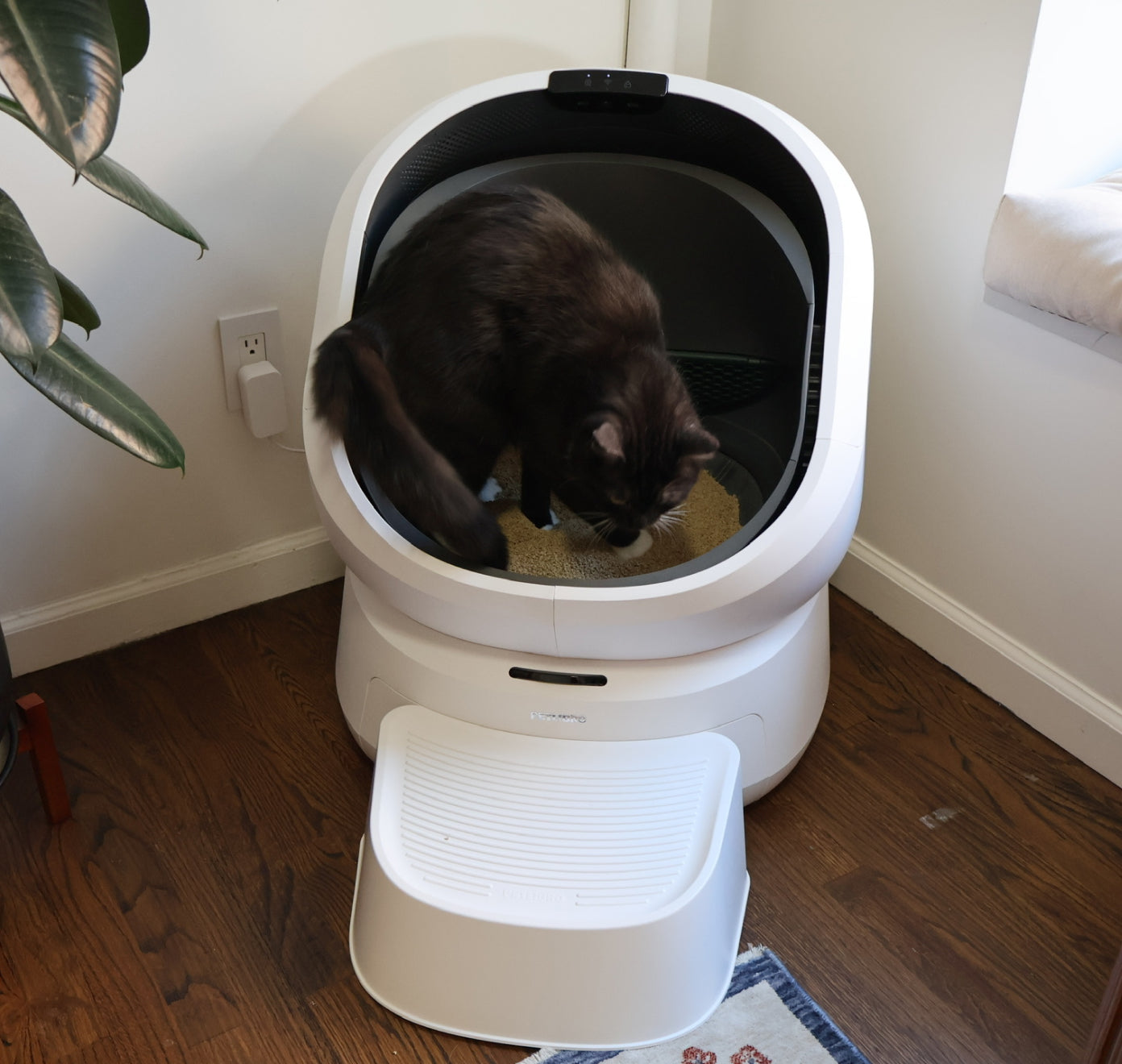 Petlibro PETLIBRO bac à litière pour animal de compagnie, chat noir dedans; mention distributeur automatique de nourriture et fontaine à eau