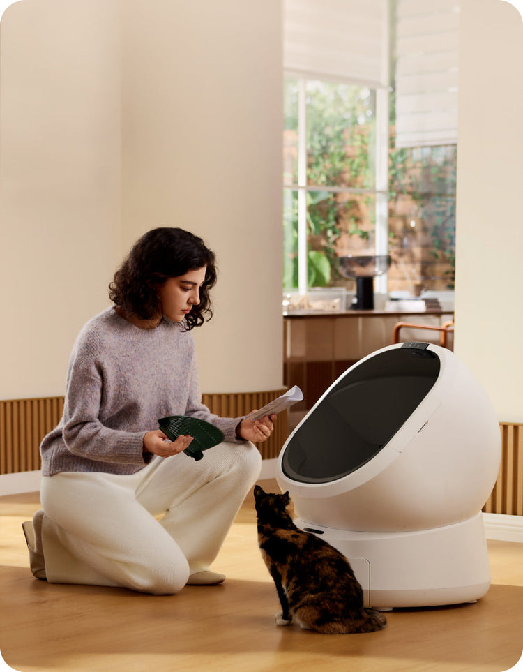 Petlibro PETLIBRO animal de compagnie: chat près d’un bac à litière automatique blanc; mention fontaine à eau et distributeur automatique de nourriture.