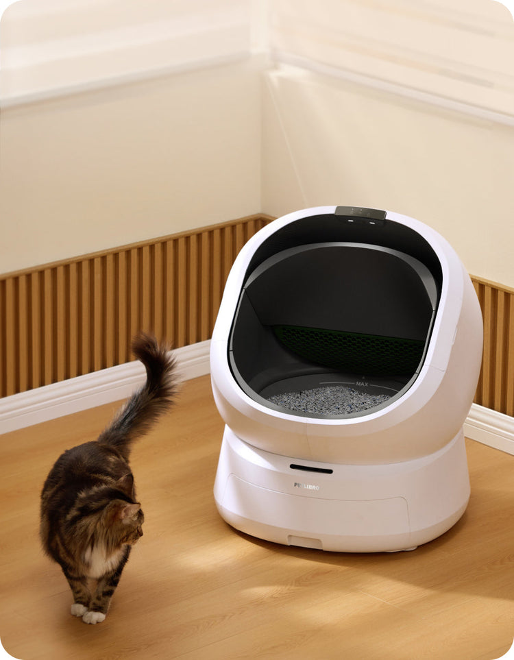 Petlibro PETLIBRO animal de compagnie chat près d’un bac à litière auto blanc; mention distributeur automatique de nourriture et fontaine à eau