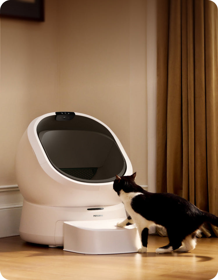 Petlibro PETLIBRO bac à litière automatique blanc; chat animal de compagnie à côté, avec distributeur automatique de nourriture et fontaine à eau.