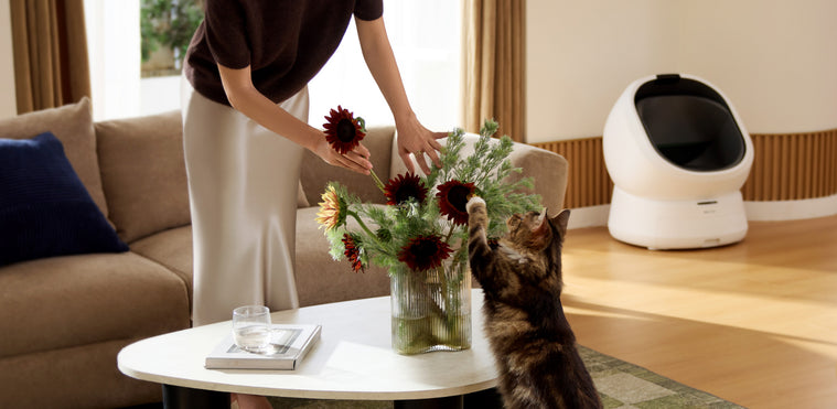 Petlibro PETLIBRO animal de compagnie: chat curieux près d’un bac à litière; distributeur automatique de nourriture et fontaine à eau en salon