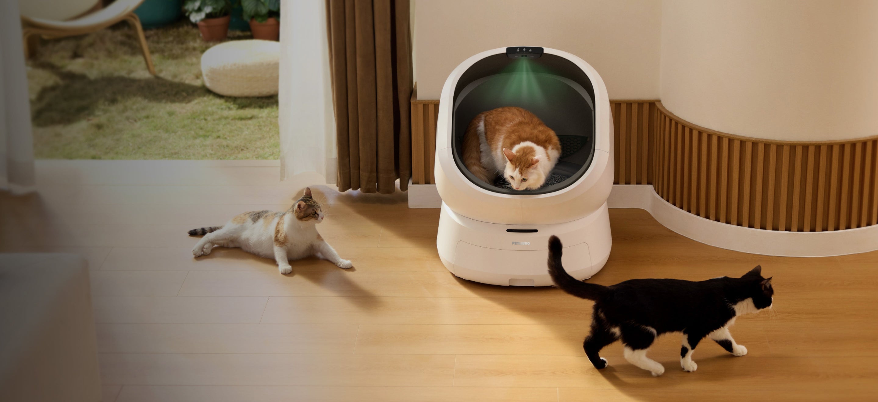 Petlibro PETLIBRO animal de compagnie: chat près d’un bac à litière; mention distributeur automatique de nourriture et fontaine à eau.