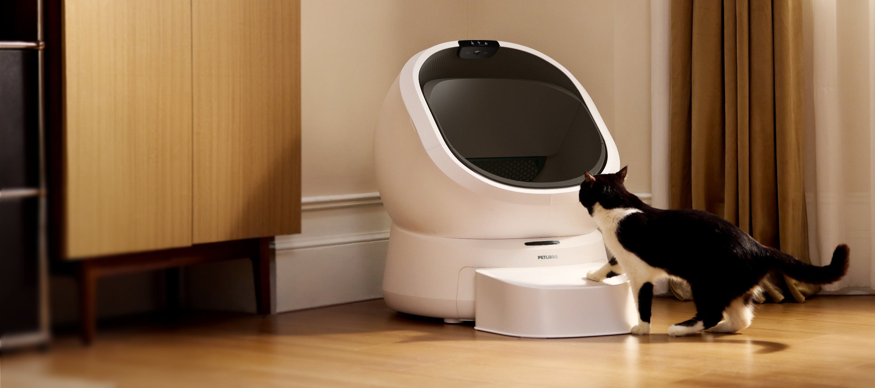 Petlibro PETLIBRO bac à litière pour animal de compagnie; chat noir et blanc l’utilise, avec distributeur automatique de nourriture et fontaine à eau
