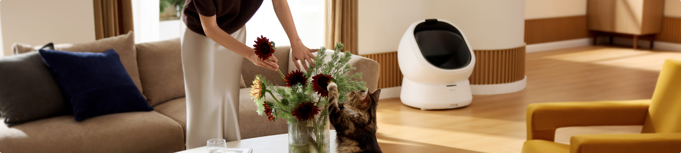 Petlibro PETLIBRO pour animal de compagnie: chat près d’un bac à litière blanc, scène salon avec distributeur automatique de nourriture et fontaine à eau