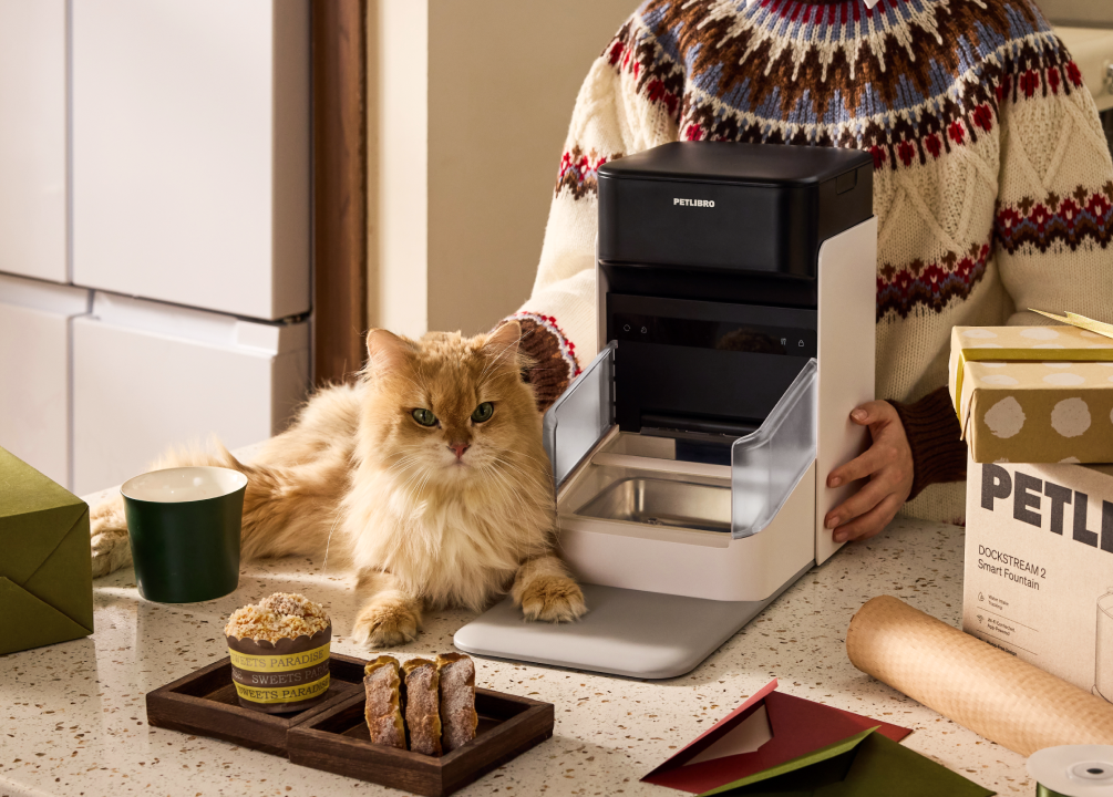 Petlibro PETLIBRO animal de compagnie: chat près d’un distributeur automatique de nourriture et fontaine à eau; bac à litière non visible