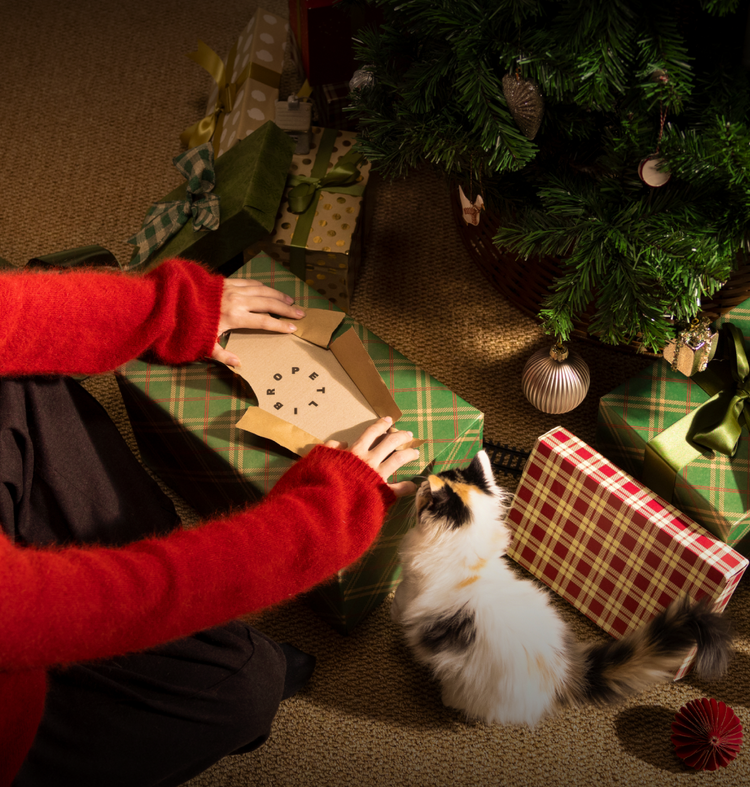 Petlibro PETLIBRO animal de compagnie: chat près de cadeaux, évoquant distributeur automatique de nourriture, fontaine à eau, bac à litière