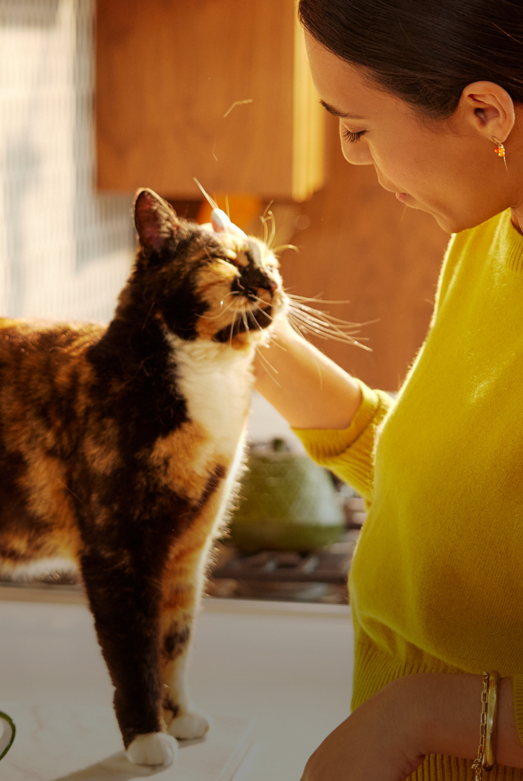 Petlibro PETLIBRO animal de compagnie: femme caresse un chat tricolore; distributeur automatique de nourriture, fontaine à eau, bac à litière.