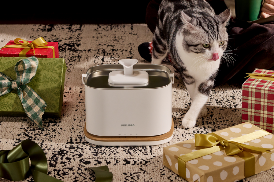 Fontaine à eau intelligente Dockstream 2