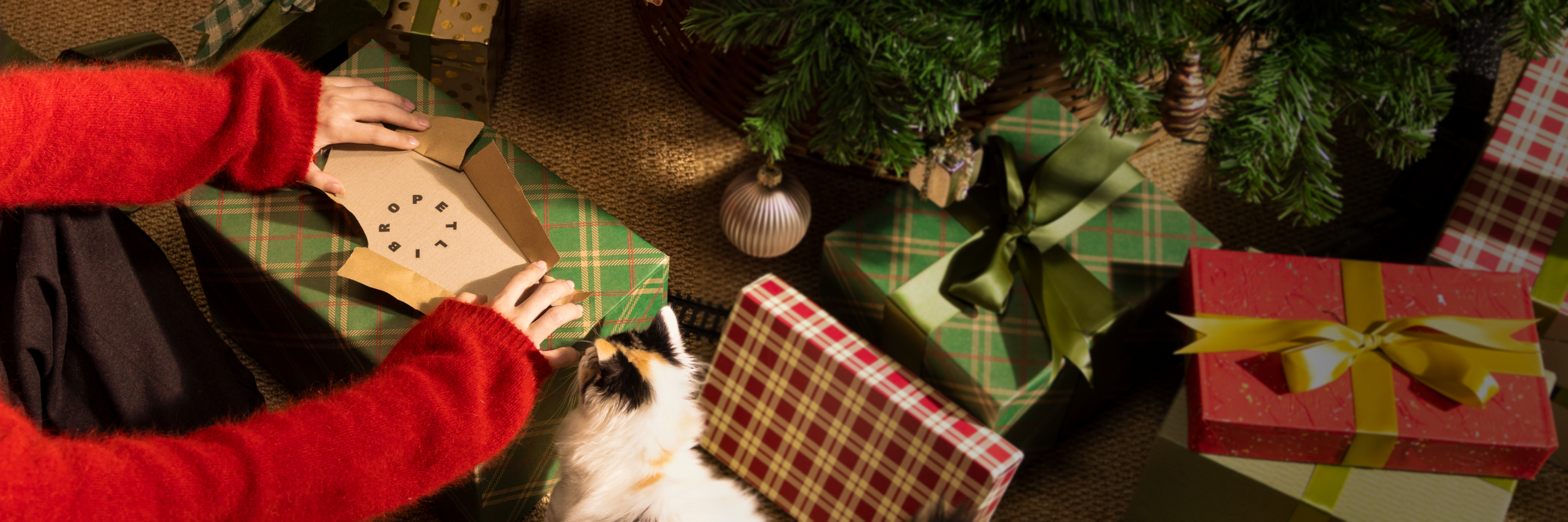 Petlibro PETLIBRO animal de compagnie: chat près de cadeaux, pas de distributeur automatique de nourriture, fontaine à eau, bac à litière visibles