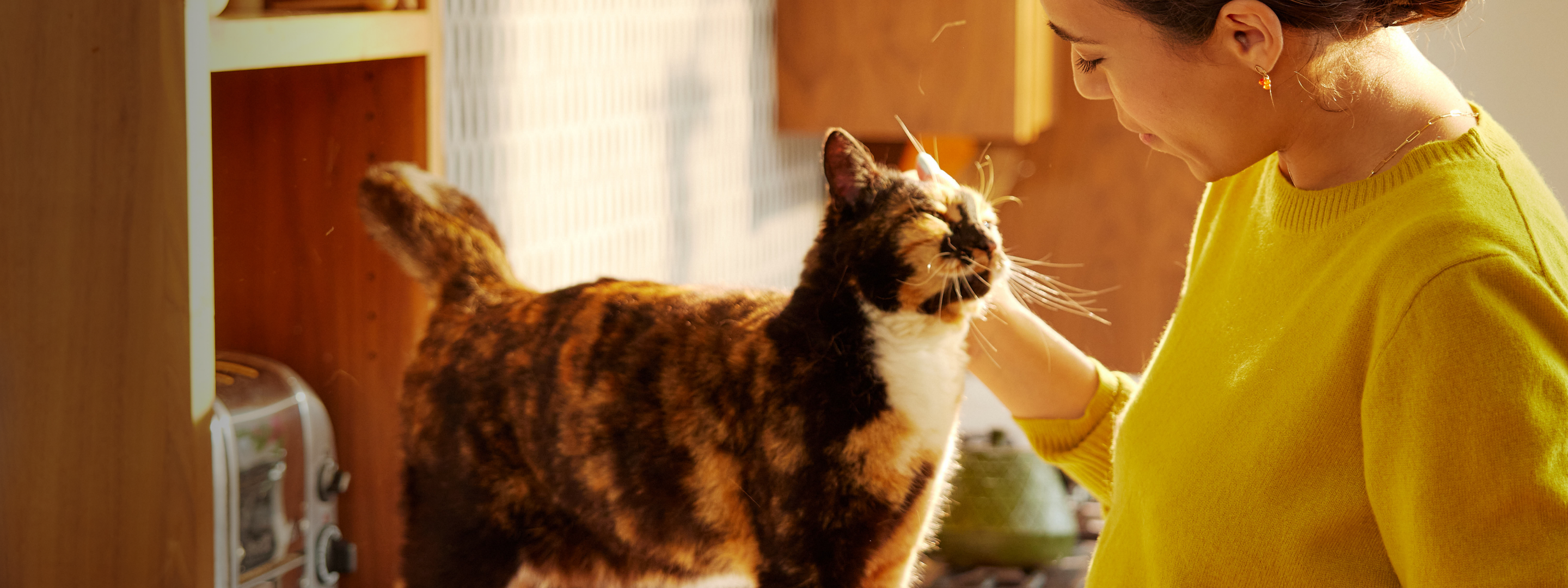 Petlibro PETLIBRO animal de compagnie: chat caressé près d’un distributeur automatique de nourriture, fontaine à eau et bac à litière