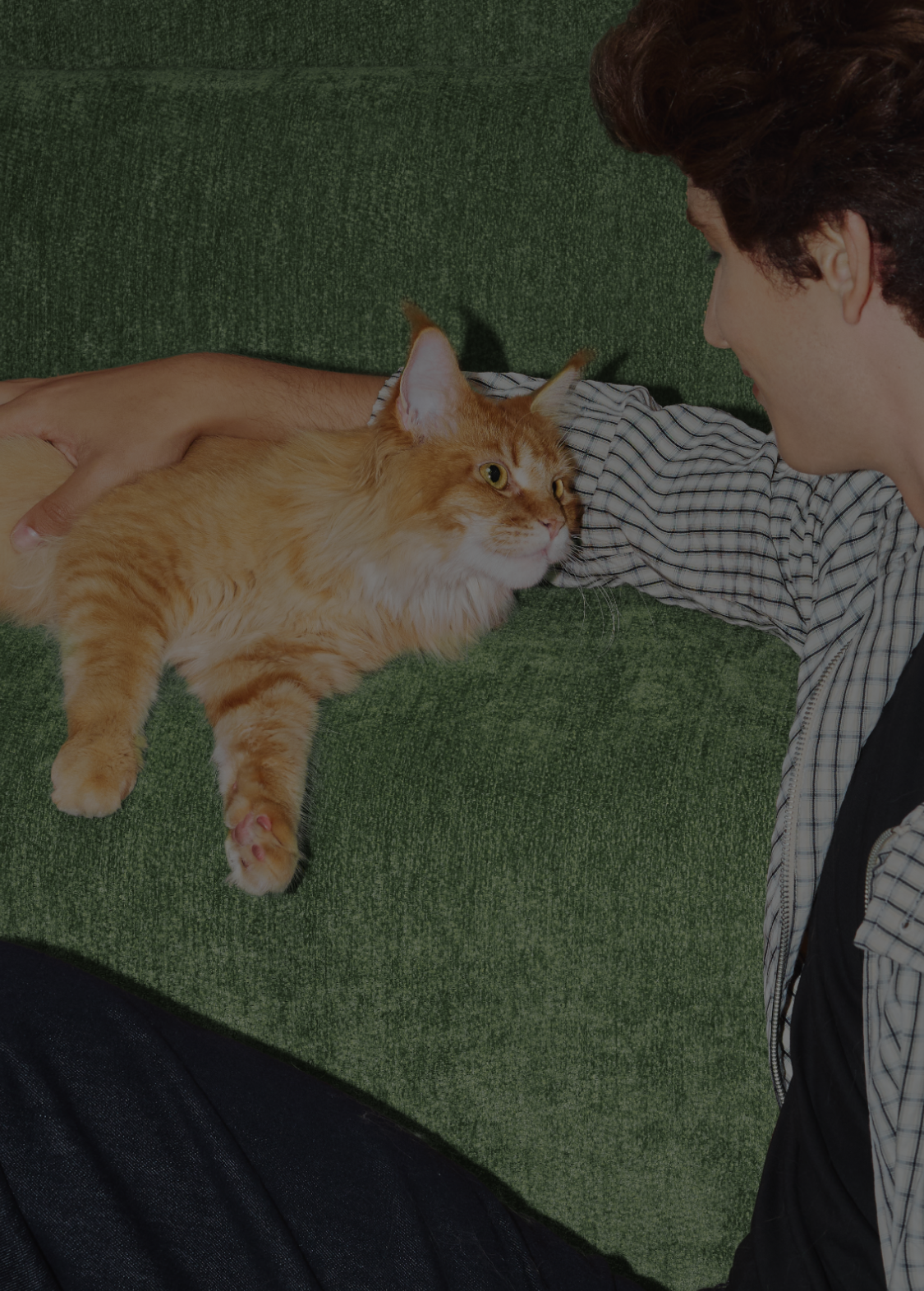 Petlibro PETLIBRO animal de compagnie: chat roux sur canapé vert, caressé; mention distributeur automatique de nourriture, fontaine à eau, bac à litière
