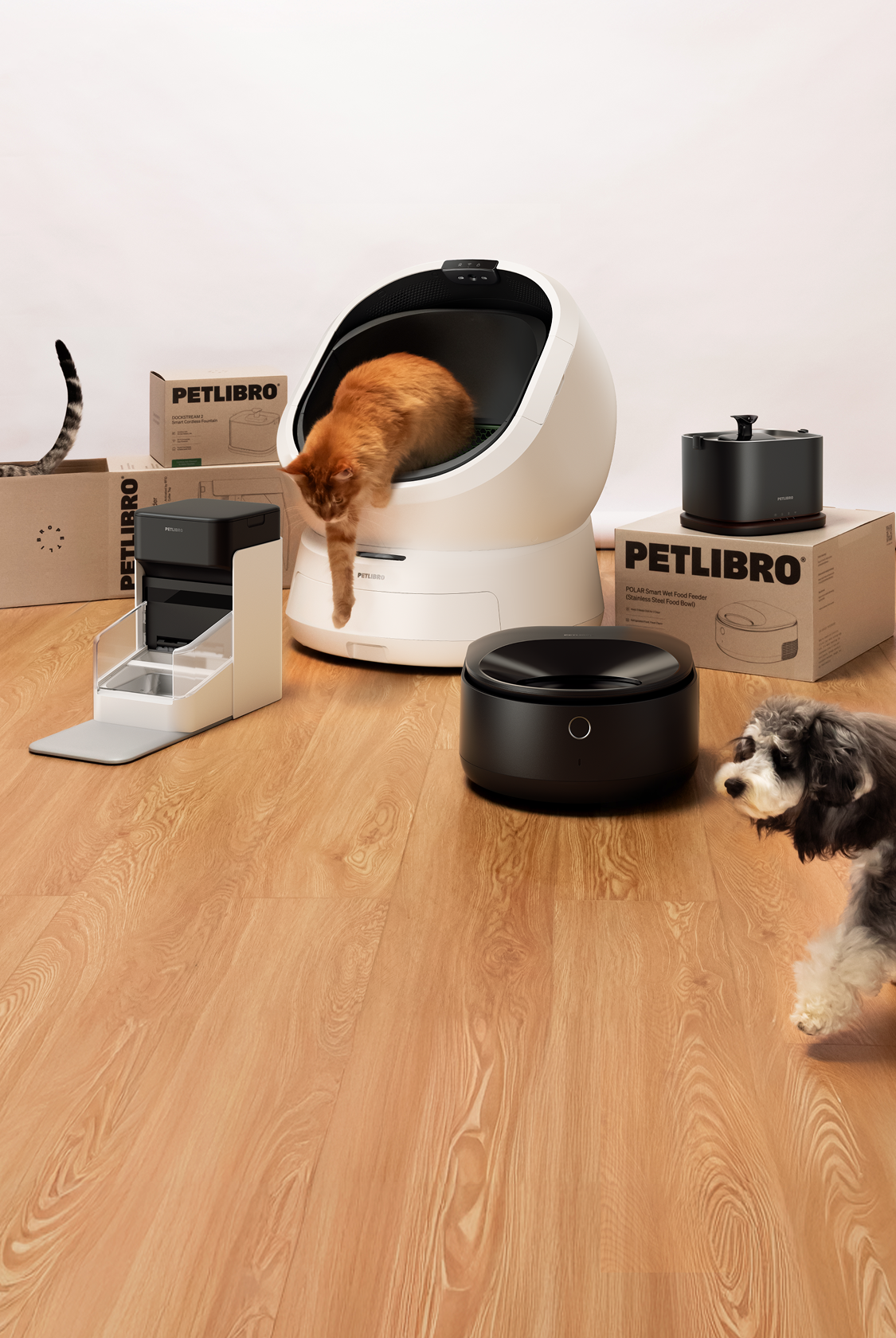 Petlibro PETLIBRO: chat sort du bac à litière, avec distributeur automatique de nourriture et fontaine à eau pour animal de compagnie