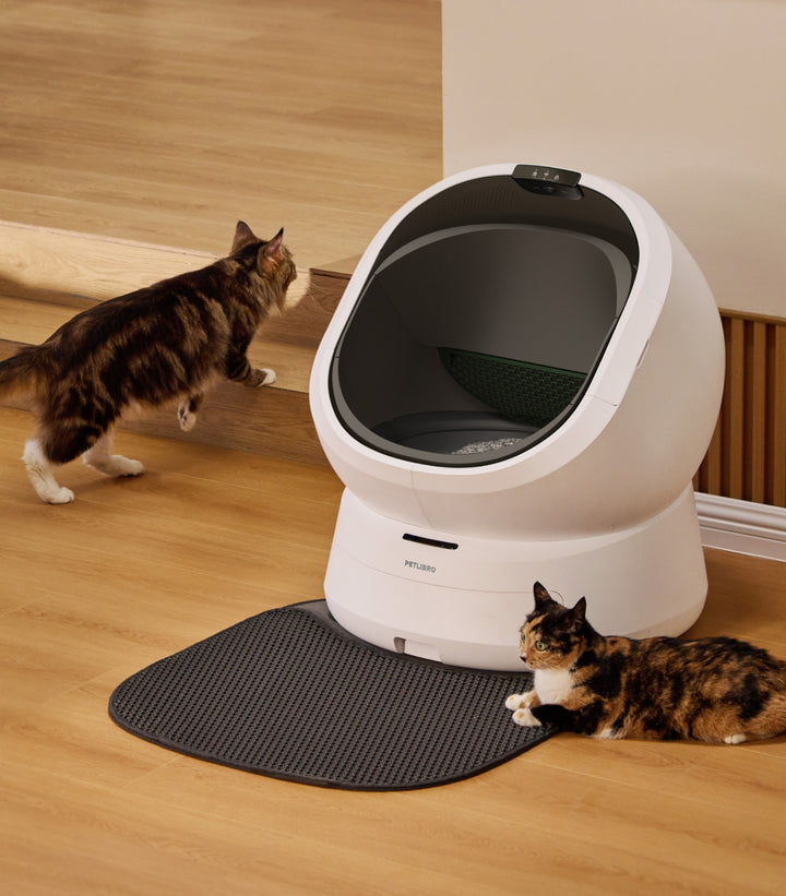 Petlibro PETLIBRO bac à litière blanc pour animal de compagnie, chat près du bac; mention distributeur automatique de nourriture et fontaine à eau