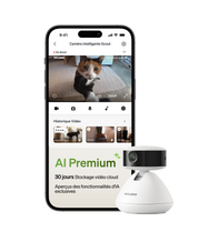 Video Cloud AI