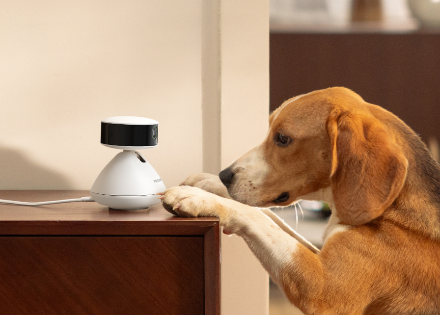 Caméra Intelligente Scout