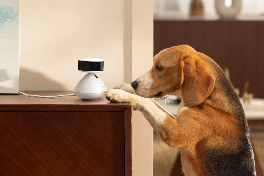 Caméra Intelligente Scout